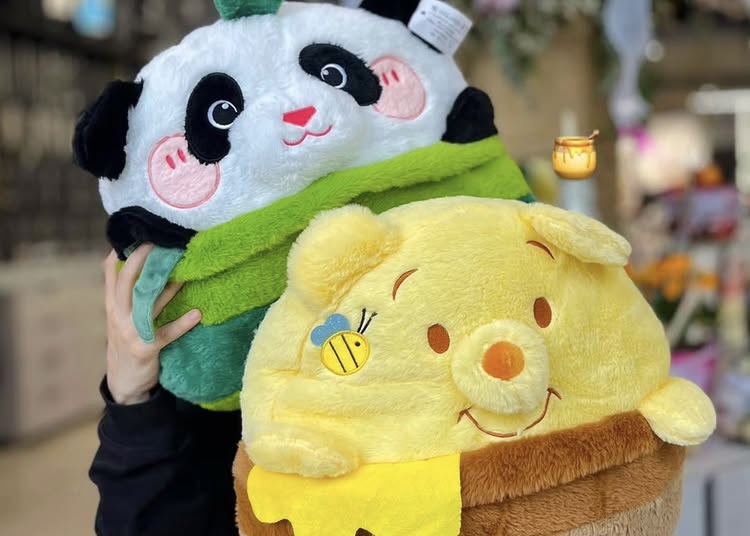 رایان توی (تهرانی) در برج ماندگار